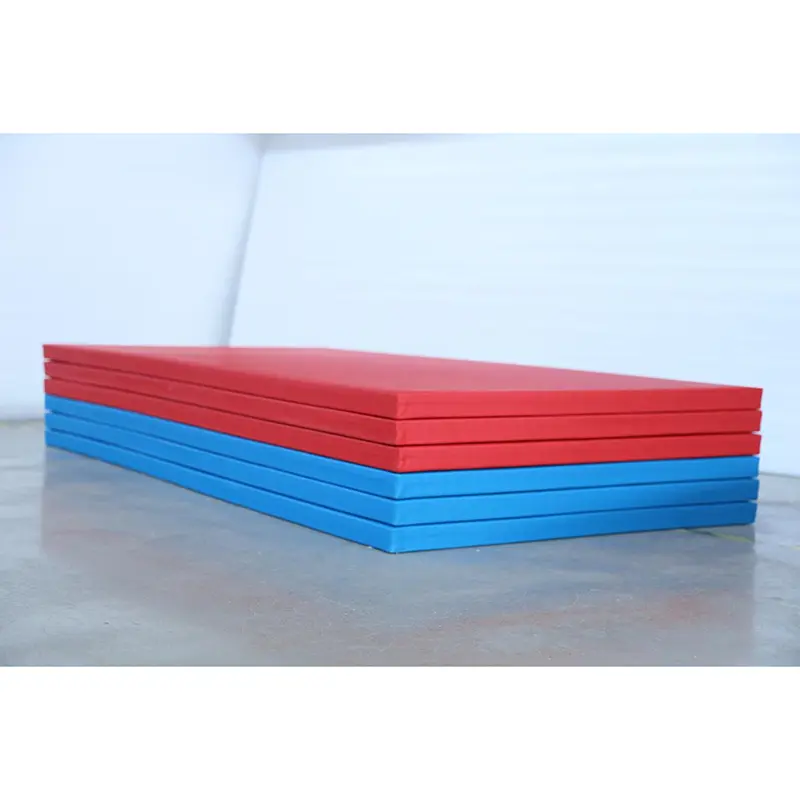 Thi đấu Judo Mat
